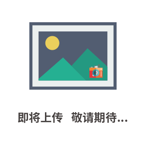 A41安全閥